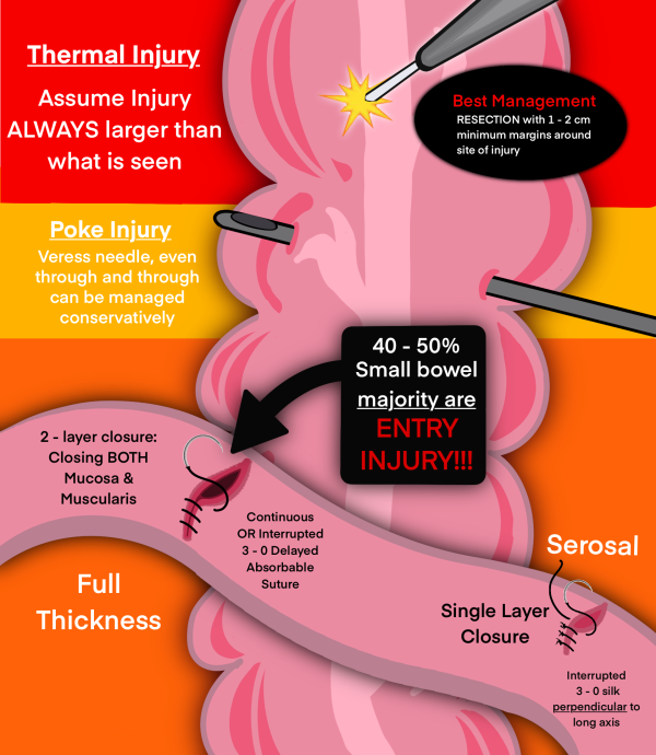 2025 OB-GYN Illustrated Guide - Pre Order Now - Image 2